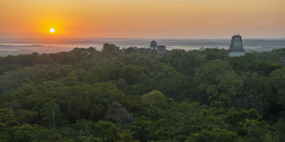 guetemala_tikal_pyramide_02