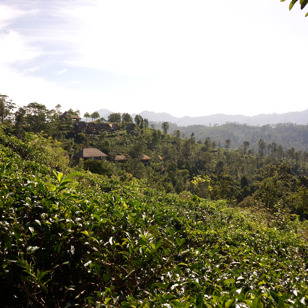 Adam's Peak