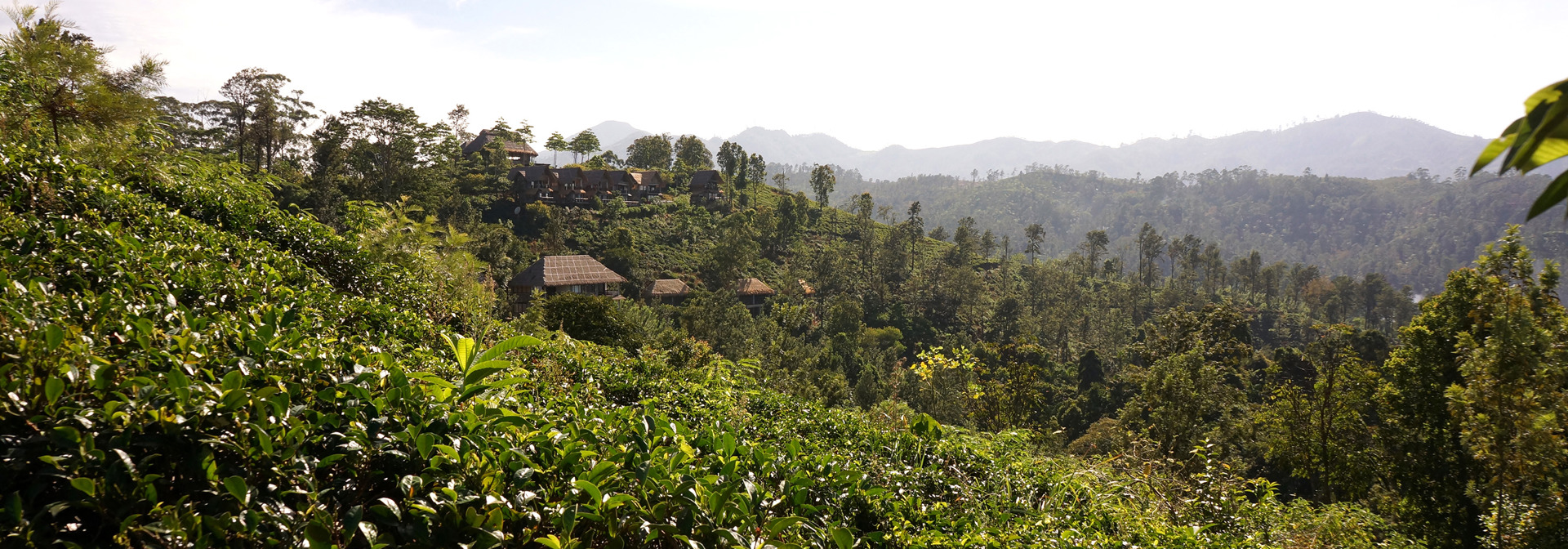 sri lanka - sri lanka_adams peak_02