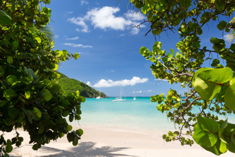 St. Maarten er en ægte caribisk paradisø