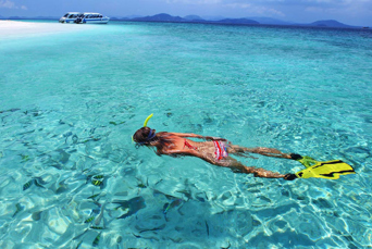 Phi Phi Islands By Speedboat Early Bird