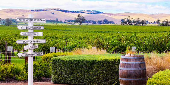 australien - adelaide_barossa_vintur_01