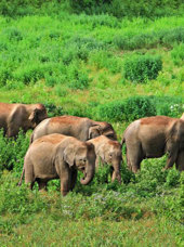 Kui Buri National Park Hua Hin2