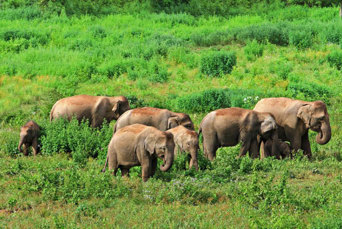 Kui Buri National Park Hua Hin2