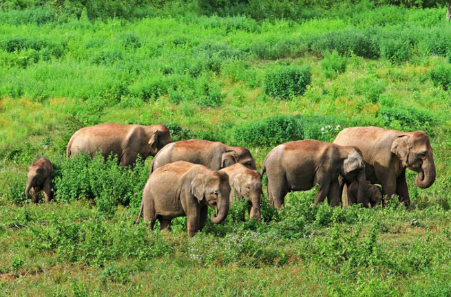 Kui Buri National Park Hua Hin2