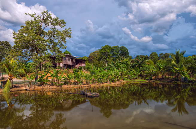 kinabatangan_flod_03