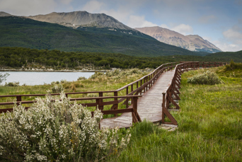 argentina - tierra del fuego landskab_01