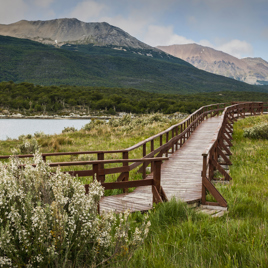 argentina - tierra del fuego landskab_01