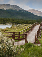 argentina - tierra del fuego landskab_01