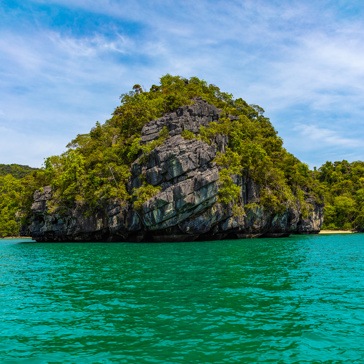 malaysia - langkawi_mangrove_02