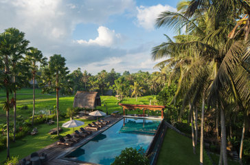 Aerial Pool Rice Fields