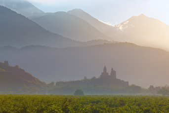 Kakheti Vinmarker Omkring Kloster