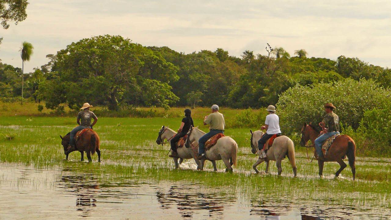 Horseback Riding