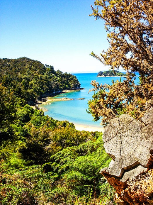 new zealand - abel_tasman national park_strand_02_HF