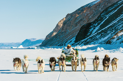 Slædehunde og mand på isen i Grønland