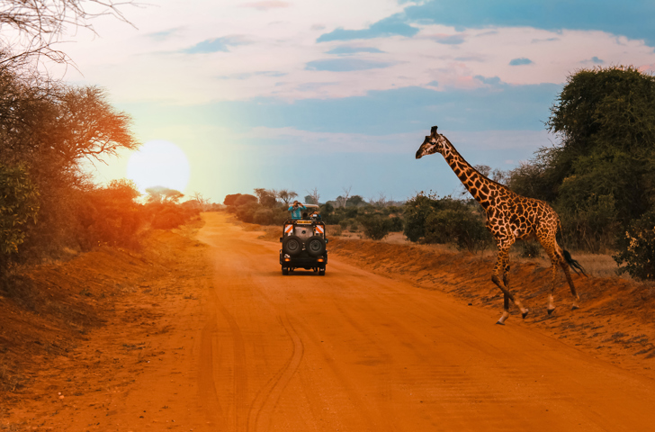 kenya_masai_mara_giraf_01