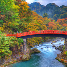 japan - nikko_shinkyo bridge_03