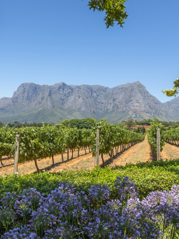 Franschhoek