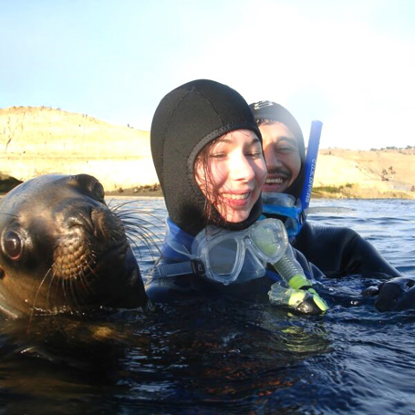 Puerto Madryn Snorkeling With Sealions 02