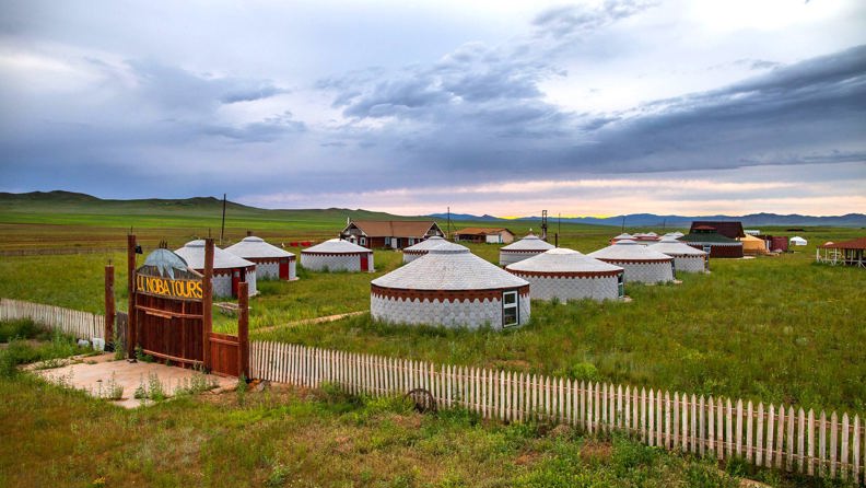 Moltsog Els Ger Camp Khustai NP (1)