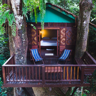 Our Jungle House Treehouse 01