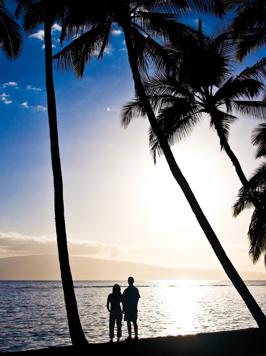 usa - hawaii_maui_strand_par_01