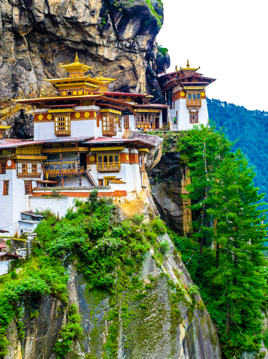 bhutan_tigers nest_02