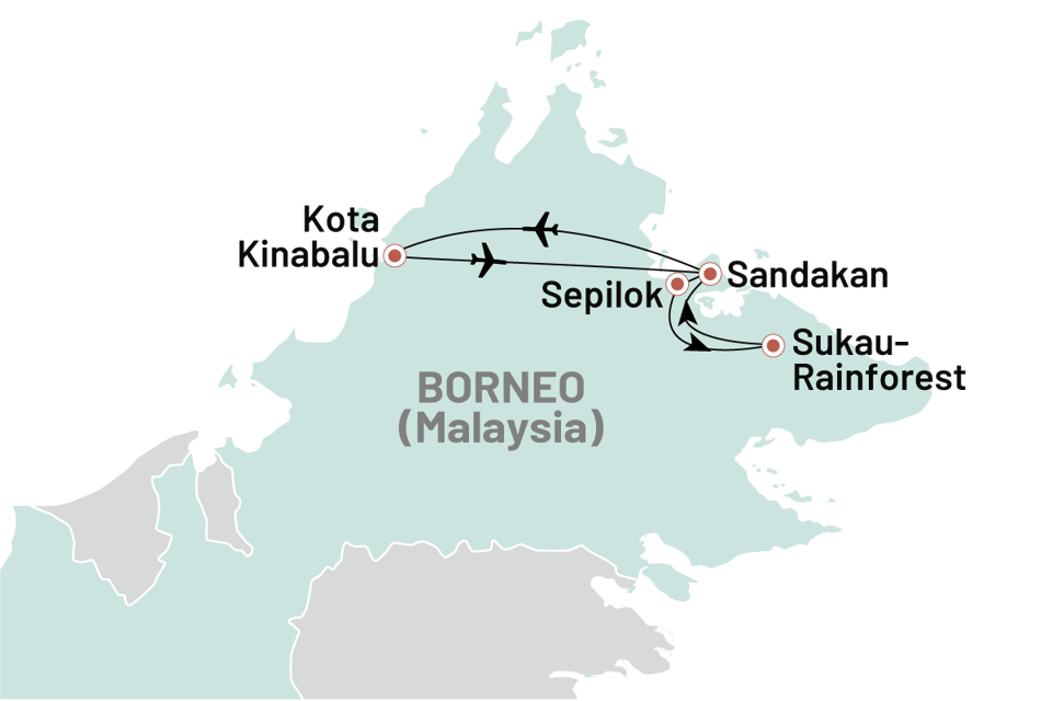 Borneo En Rejse I Sabahs Regnskov Zoom