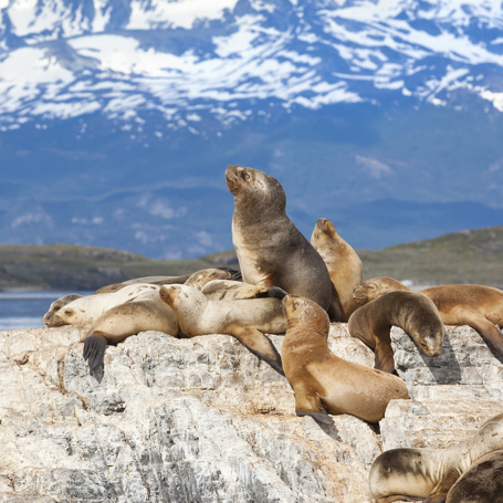 argentina - ushuaia_33.02