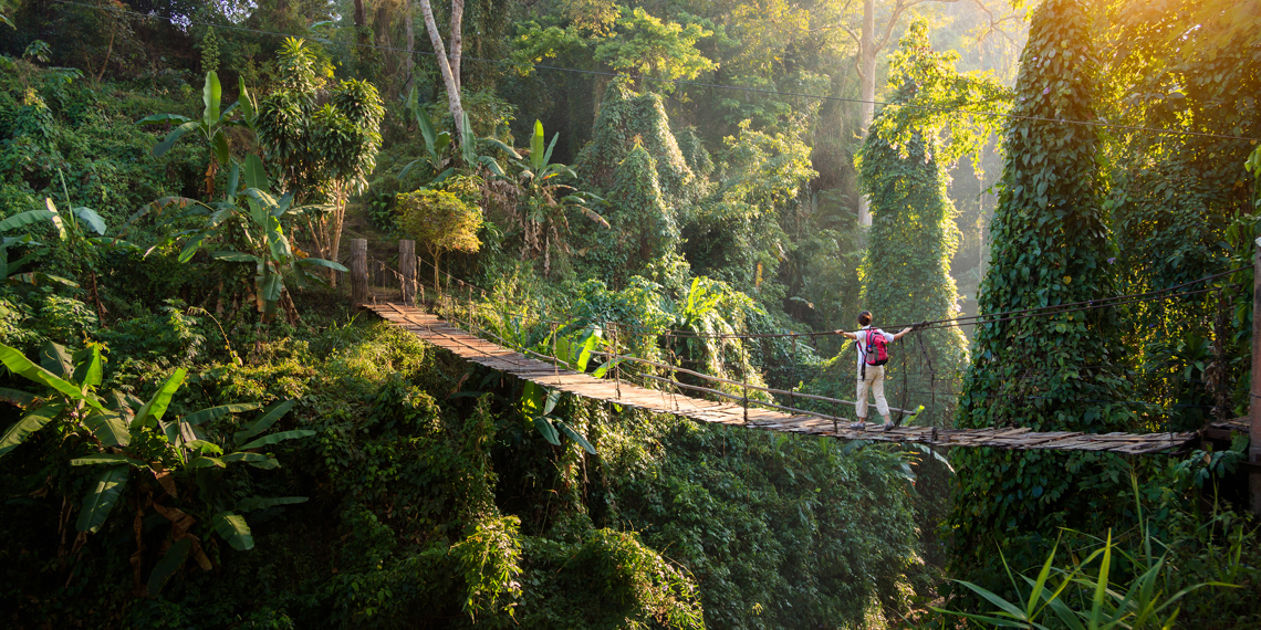 thailand - thailand_regnskov_02