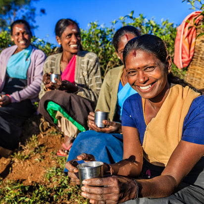 Tamil Tea Befolkning