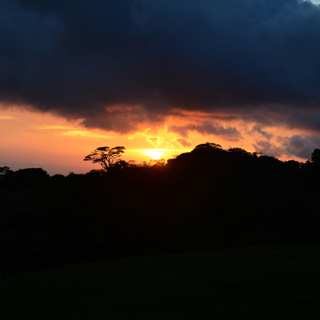 costa rica - monteverde_regnskov_01