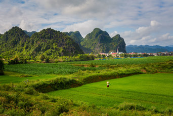 Phong Nha National Park Rismark 01