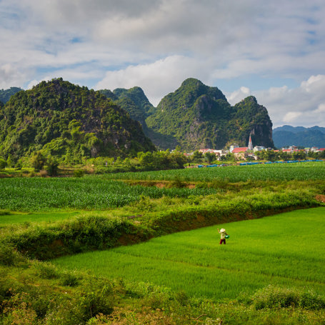 Phong Nha National Park Rismark 01