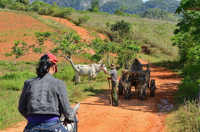 cuba - vinales ridning