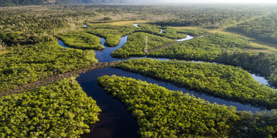 brasilien - amazonas_04