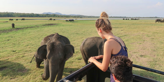 Minneriya National Park