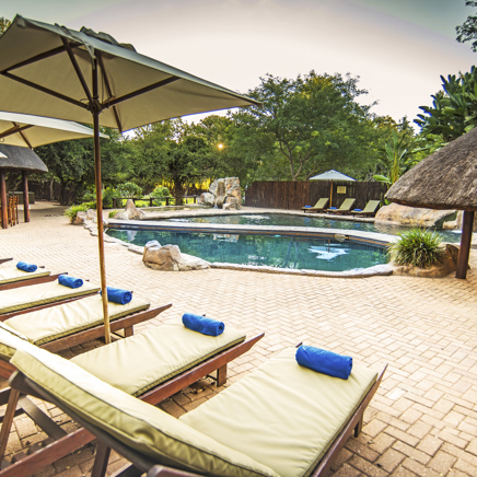 sydafrika - shiduli private game lodge_pool_02