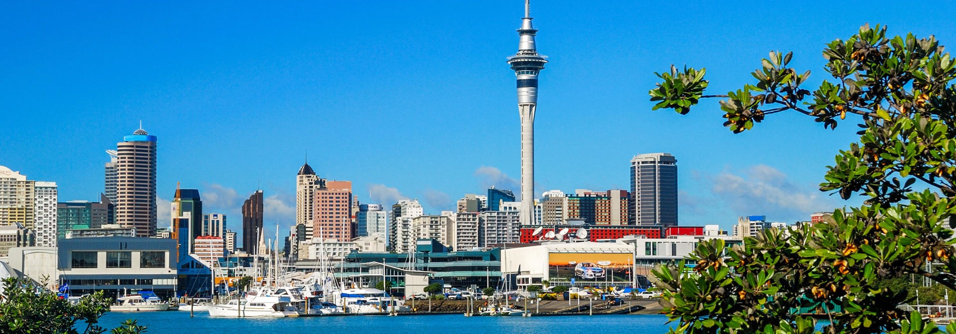 new zealand - auckland_skyline_07