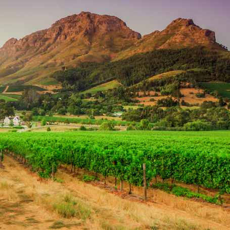 Hermanus Helderberg Mountains