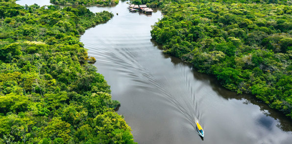 Amazonas 01