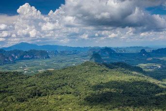 Dragon Crest Natural Trail Hike Krabi2