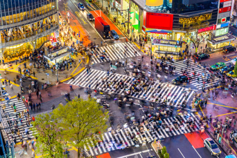 Det ikoniske Shinjuku gadekryds