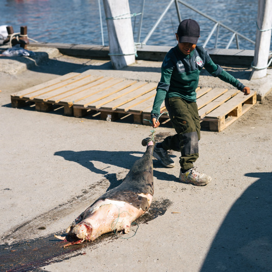 20240616 183 Ilulissat Kayfochtmann