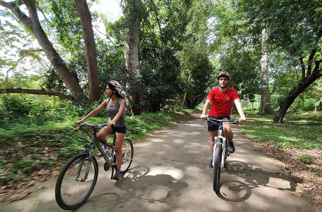 Chiang Mai Udflugt Ancient City And Ping Riverbanks