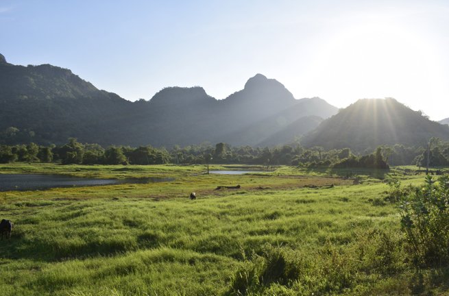 Gal Oya National Park Bjerge