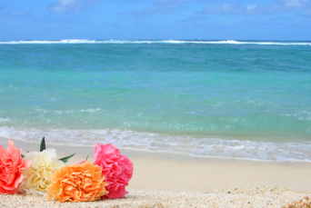 mauritius - mauritius_strand_blomst_01