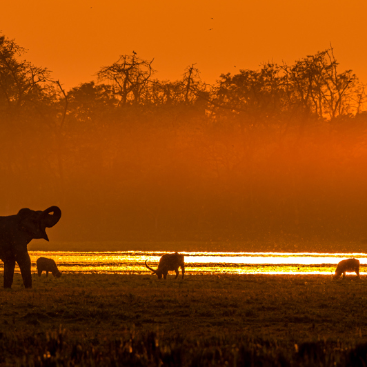 ... vi når også forbi Kaziranga National Park...