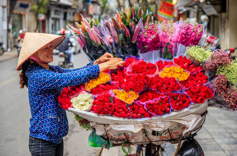 Hanoi Befolkning Blomster