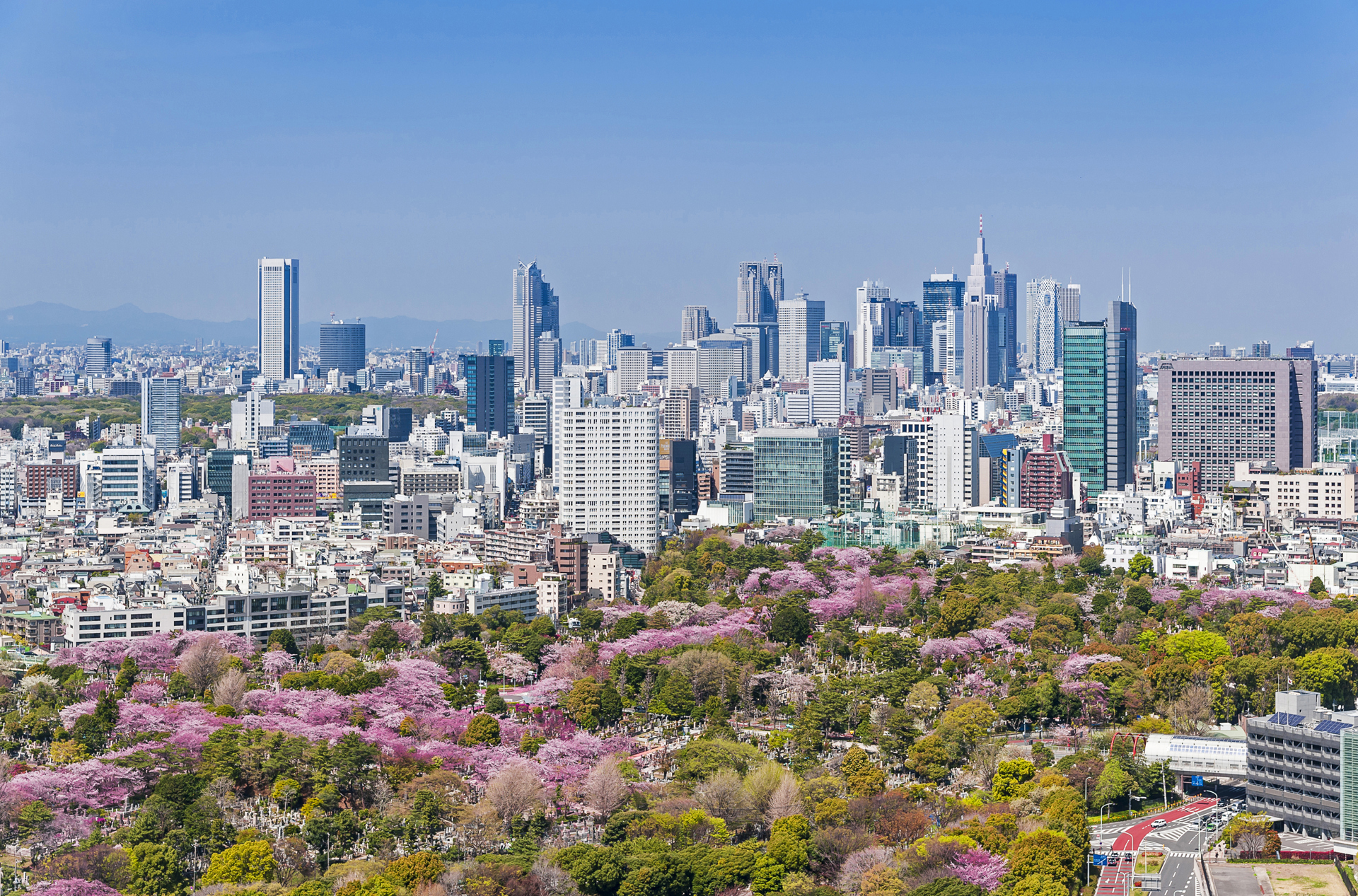 japan - tokyo_foraar_01